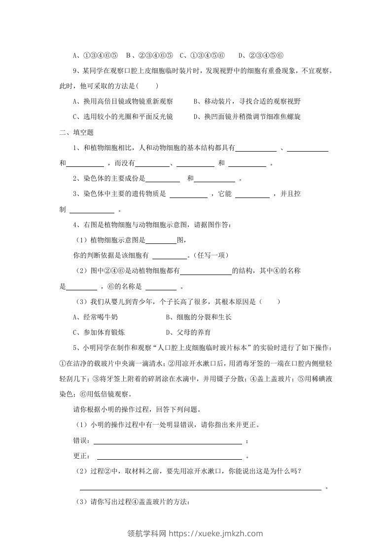 图片[2]-七年级上册生物第二单元第一章第三节试卷及答案(Word版)-领航学科网