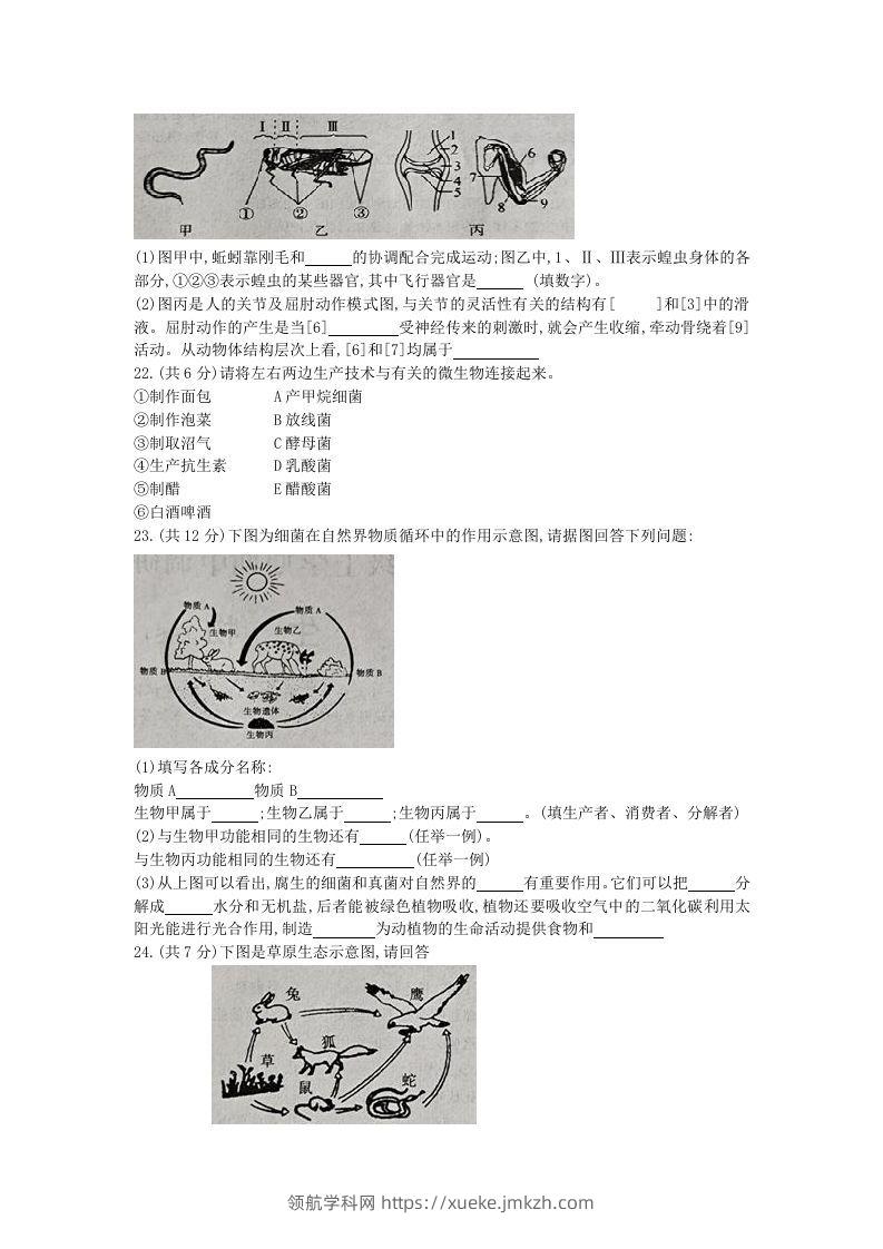 图片[3]-2020-2021学年河南省新乡市卫辉市八年级上学期期中生物试题及答案(Word版)-领航学科网