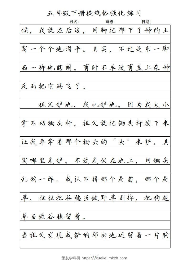 图片[2]-五年级语文下册横线格（部编版）-领航学科网