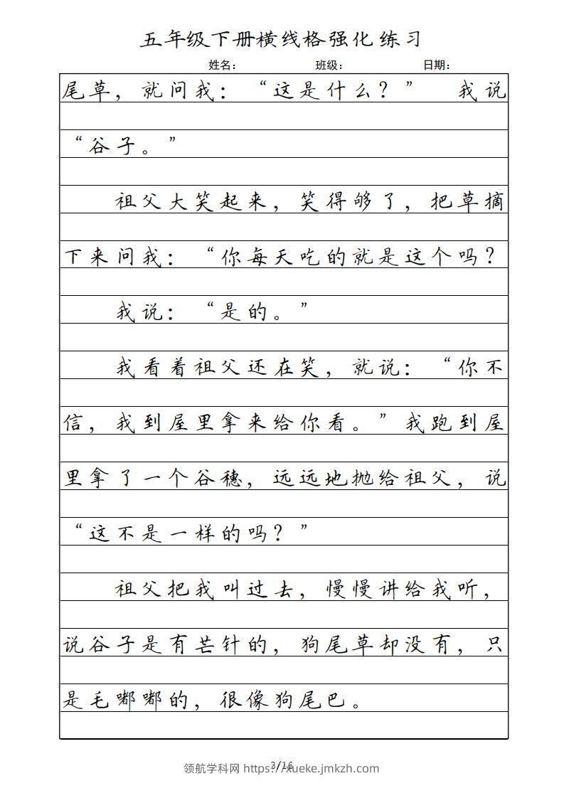 图片[3]-五年级语文下册横线格（部编版）-领航学科网