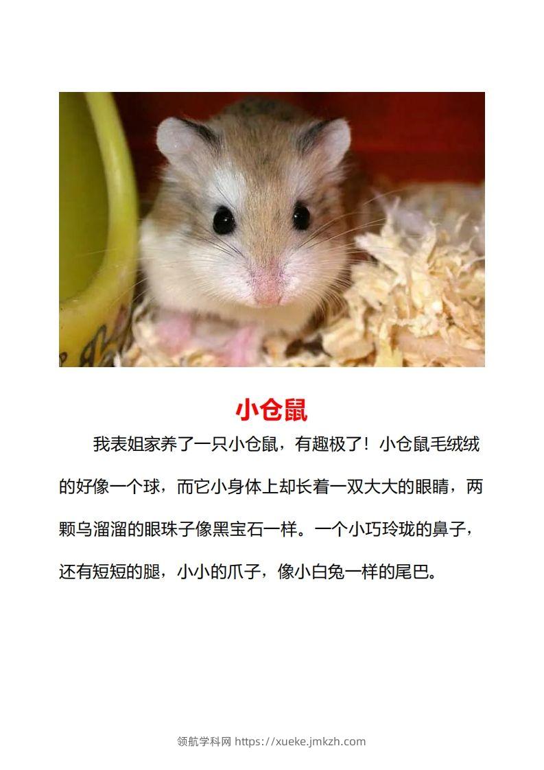 图片[2]-二年级上册语文口语交际一“有趣的动物”指导及范文-领航学科网