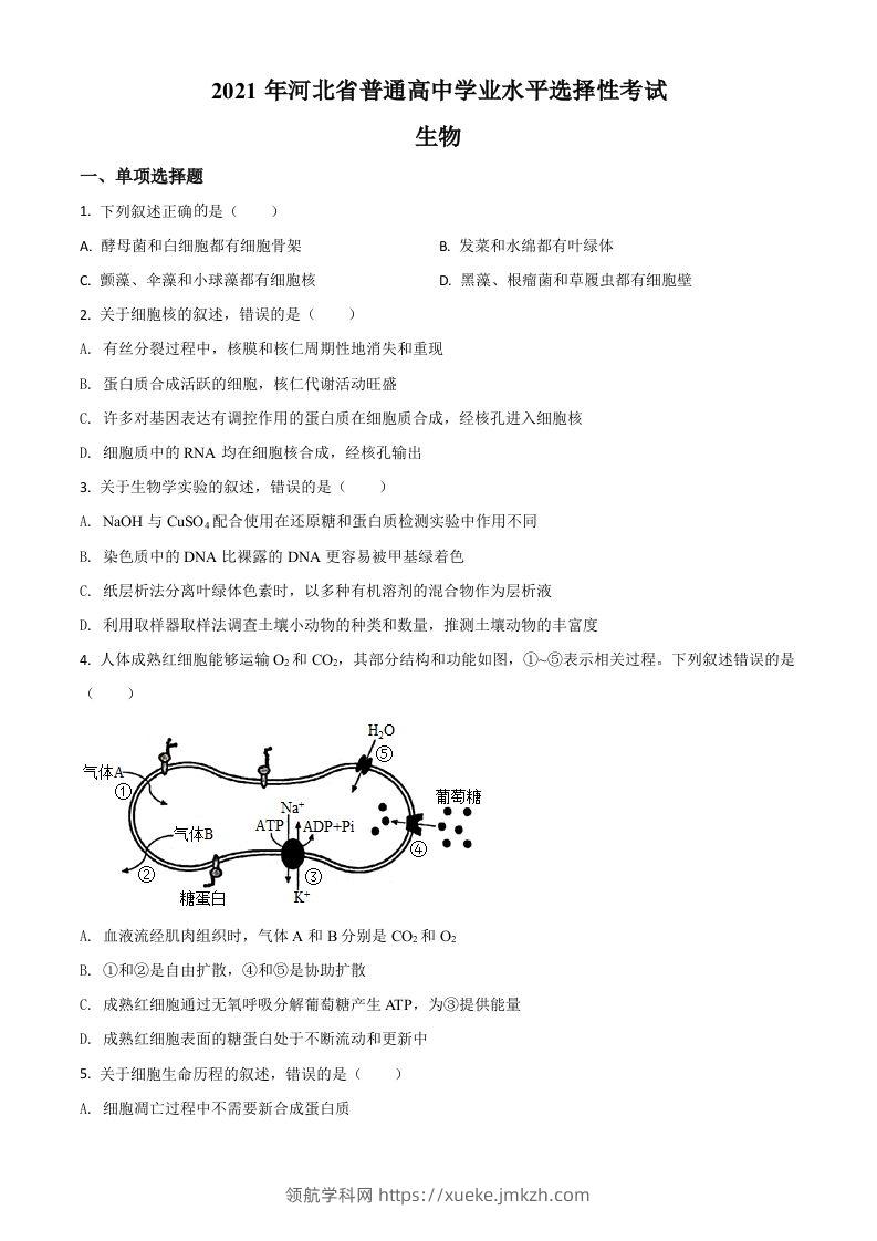 2021年高考生物试卷（河北）（空白卷）-领航学科网