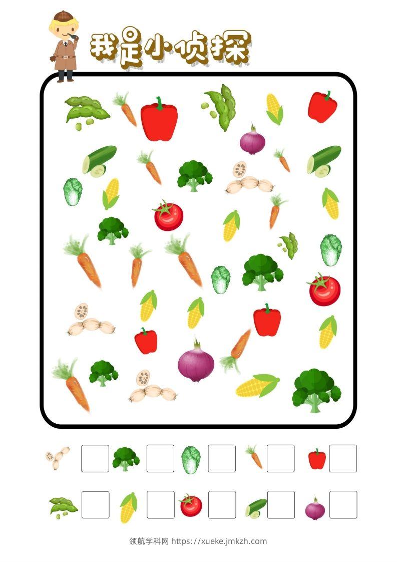 图片[2]-专注力训练-我是小侦探-领航学科网