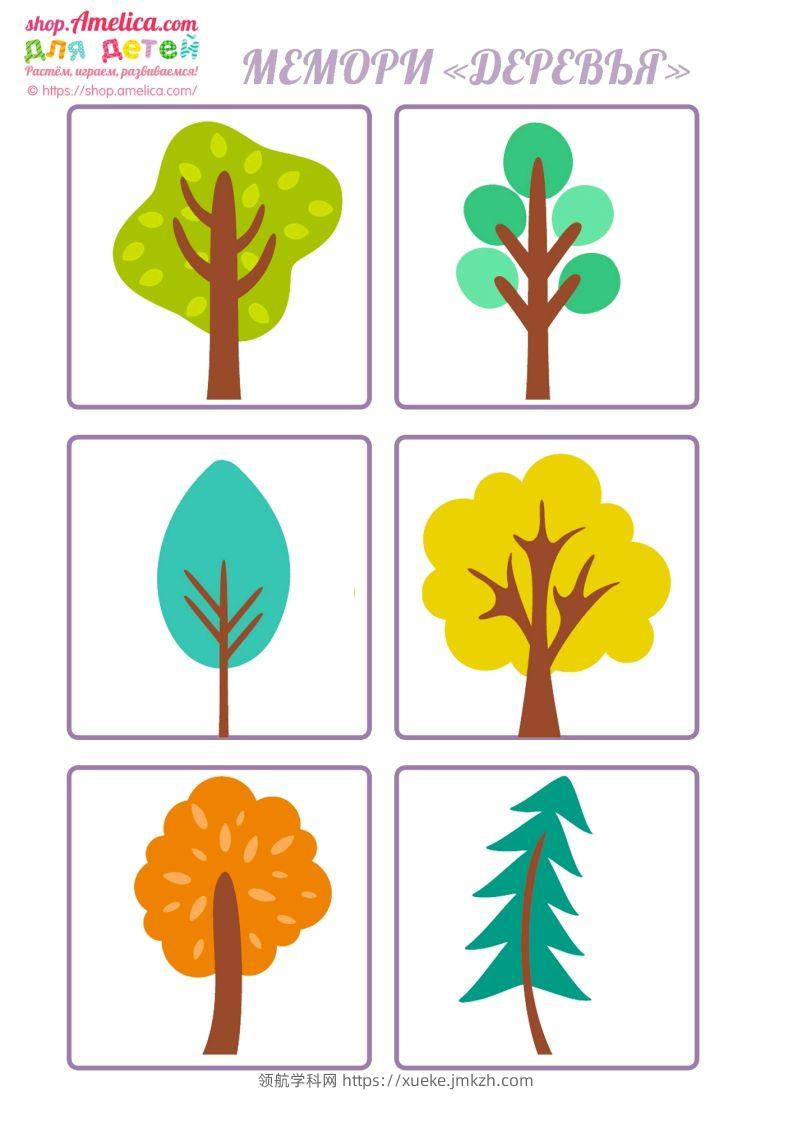 记忆卡片14-领航学科网