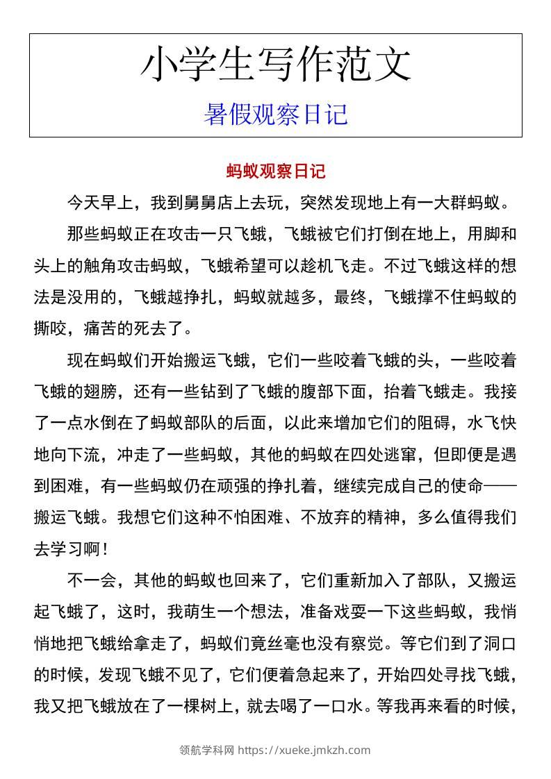 小学生写作范文暑假观察日记-小升初语文-领航学科网