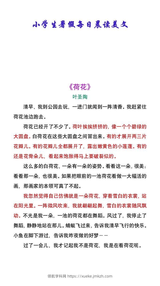 小学生暑假每日晨读美文：叶圣陶《荷花》-小升初语文-领航学科网