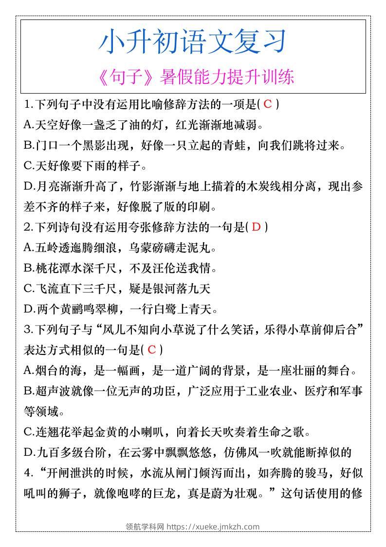 小升初语文《句子》暑假能力提升训练-小升初语文-领航学科网