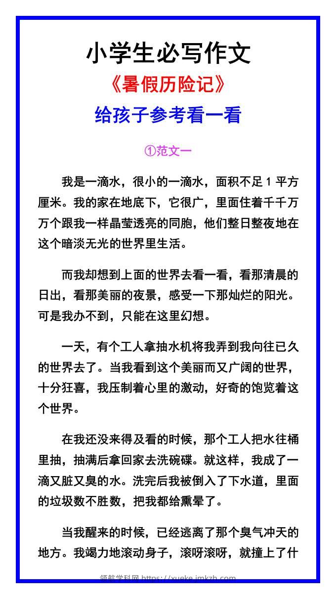 小学生必写作文《暑假历险记》范文素材-小升初语文-领航学科网