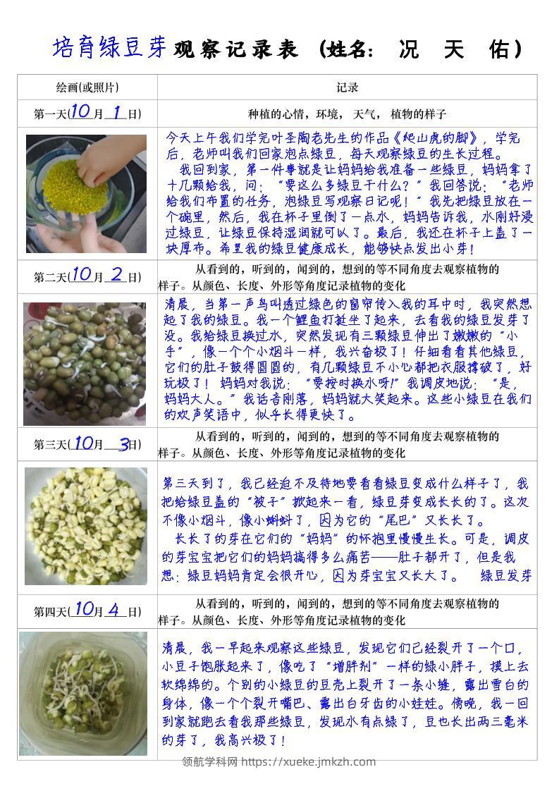 四上语文习作三：培育绿豆芽观察日记2《写观察日记》4页-领航学科网
