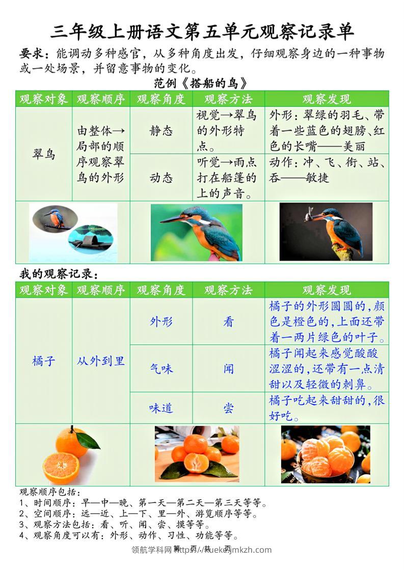 三上语文第五单元观察记录单（空白+答案14页）-领航学科网